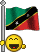 bandiere