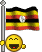 bandiere
