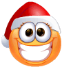 faccine natale e capodanno