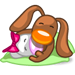 faccine rabbit
