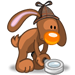 faccine rabbit