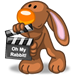 faccine rabbit