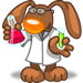 faccine rabbit