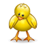 faccine pasqua