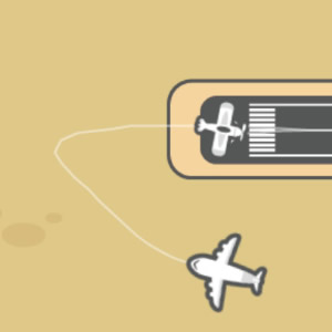 Flight Sim
