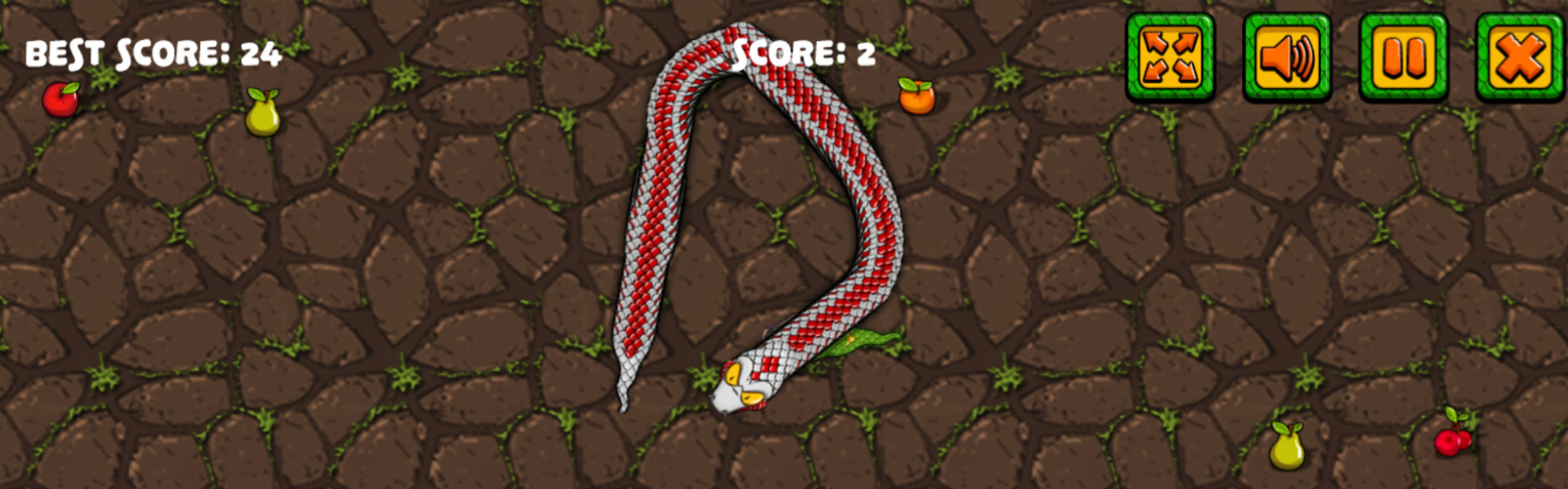 Snake Attack