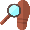 Icone investigazione