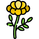 Dia de Muertos 17
