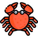 Icone segnl zodiacali