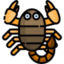 Icone segnl zodiacali