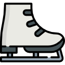 Icone sport