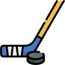 Icone sport