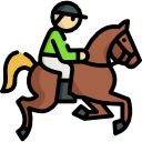 Icone sport