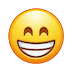 Icone animate