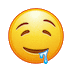 Icone animate