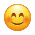 Icone animate