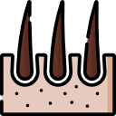 Icone veterinario
