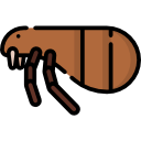 Icone veterinario