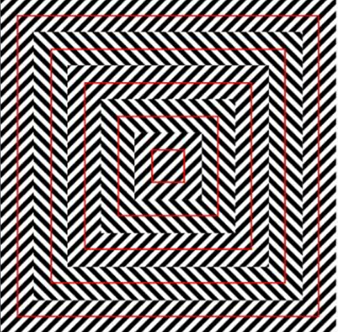 Le linee rosse creano dei quadrati. Come sono questi quadrati? Regolari o distorti?