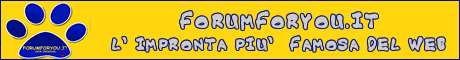 Banner 1