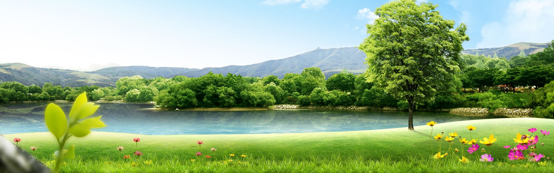 Icone Landscapes