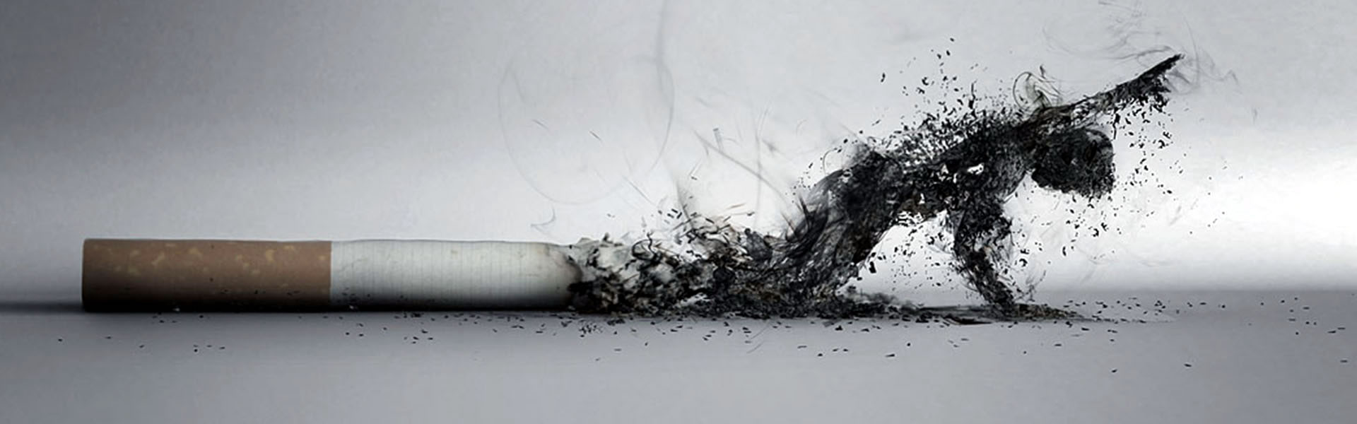 smettere di fumare allunga la vita