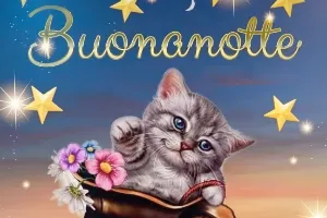 Buonanotte