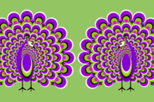 Illusioni ottiche