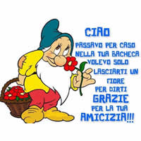 immagine divertente
