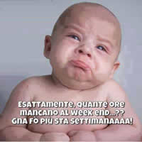 immagine divertente