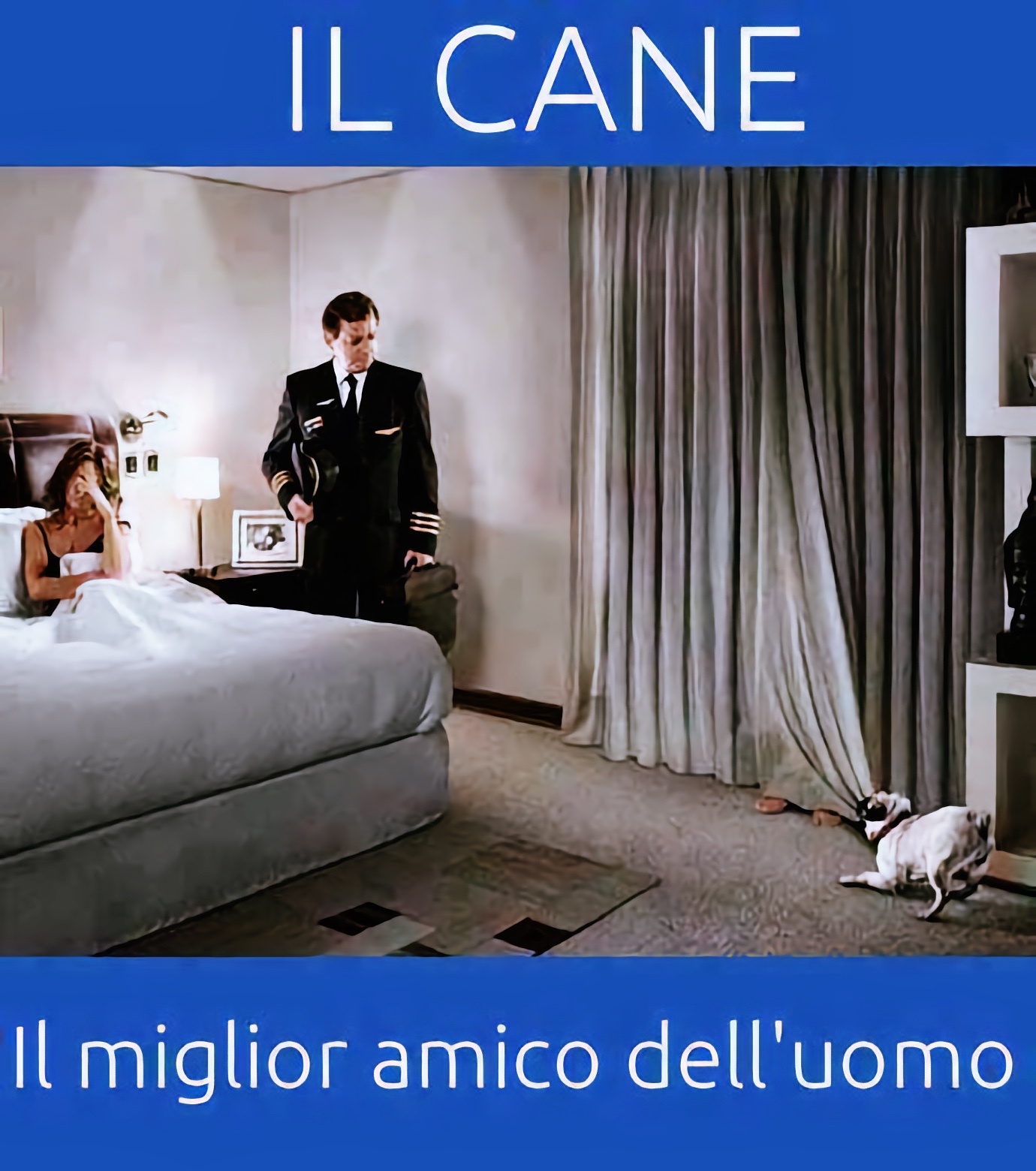 il miglior amico dell'uomo
