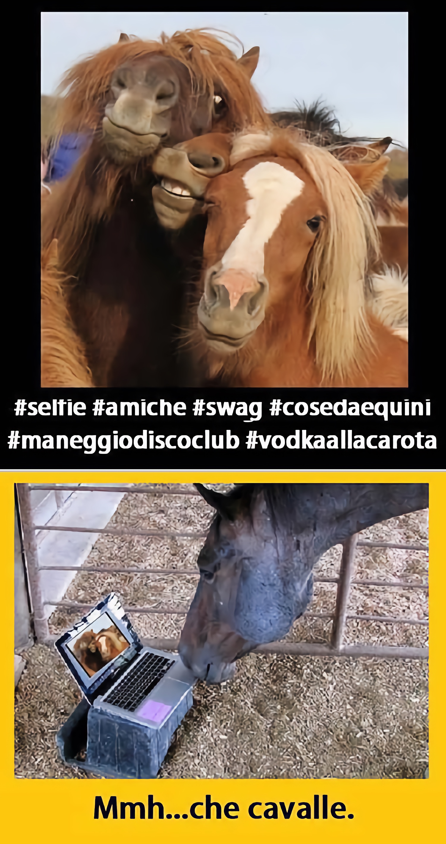 selfie