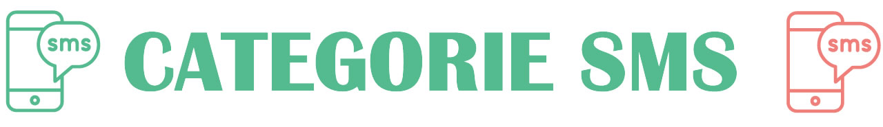 SMS 17
