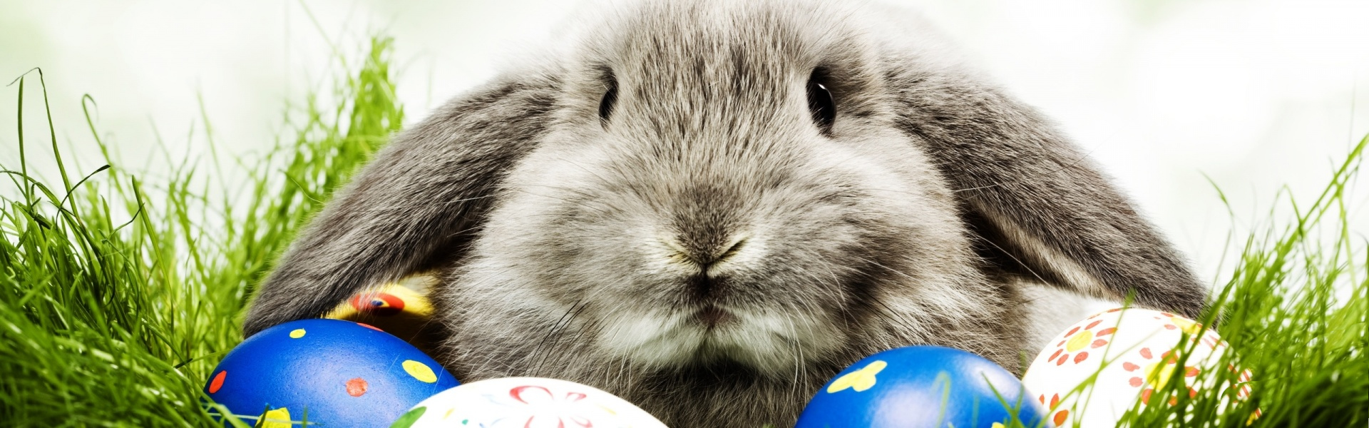 Foto di Immagini Buona Pasqua