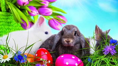 immagini buona pasqua 23