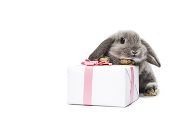 immagini buona pasqua 30