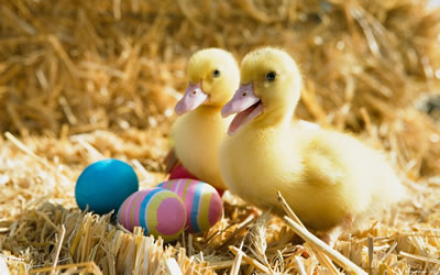 immagini buona pasqua 35