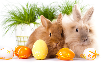 immagini buona pasqua 42