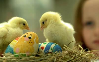 immagini buona pasqua 6