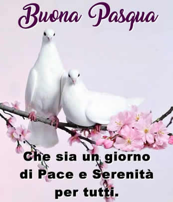 buona pasqua auguri 34