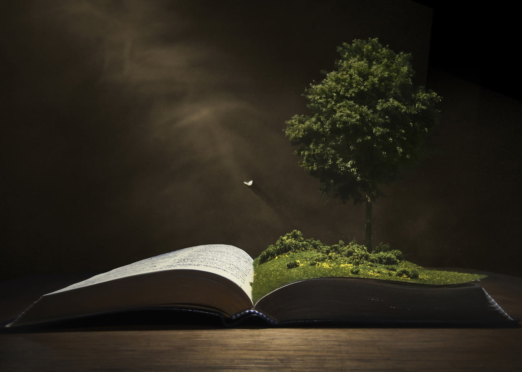 amore come un libro