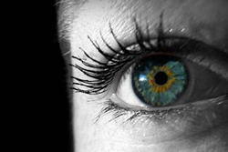 citazioni open mind