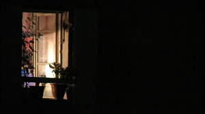 Il vero amore