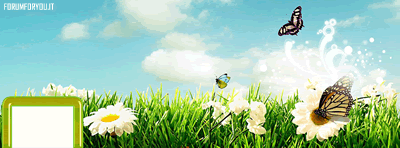 Copertine Facebook Timeline 39