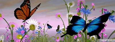 Copertine Facebook Timeline 42
