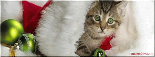 Copertine - Cover - Timeline Natale 43