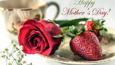 Festa della Mamma 12