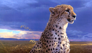 Wallpaper Gatti - Leoni - Tigri