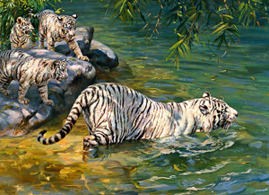 Wallpaper Gatti - Leoni - Tigri