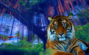 Wallpaper Gatti - Leoni - Tigri